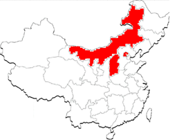 法雅分布图.png