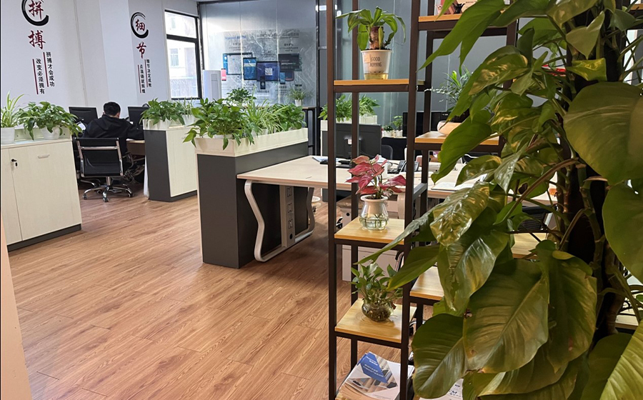 丽晶软件深圳办事处