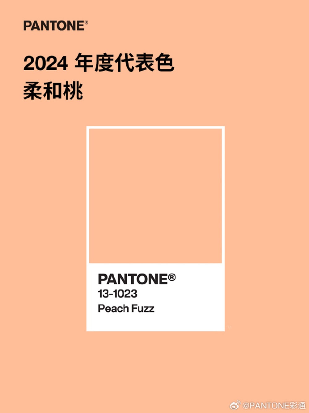2024潘通流行代表色-柔和桃，介于粉色和橙色的温柔桃色3.jpg