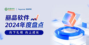 丽晶软件2024年度盘点 | 向下扎根 向上成长