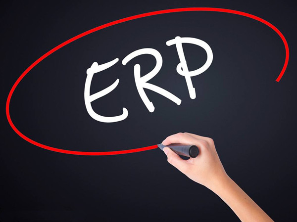 ERP.jpg